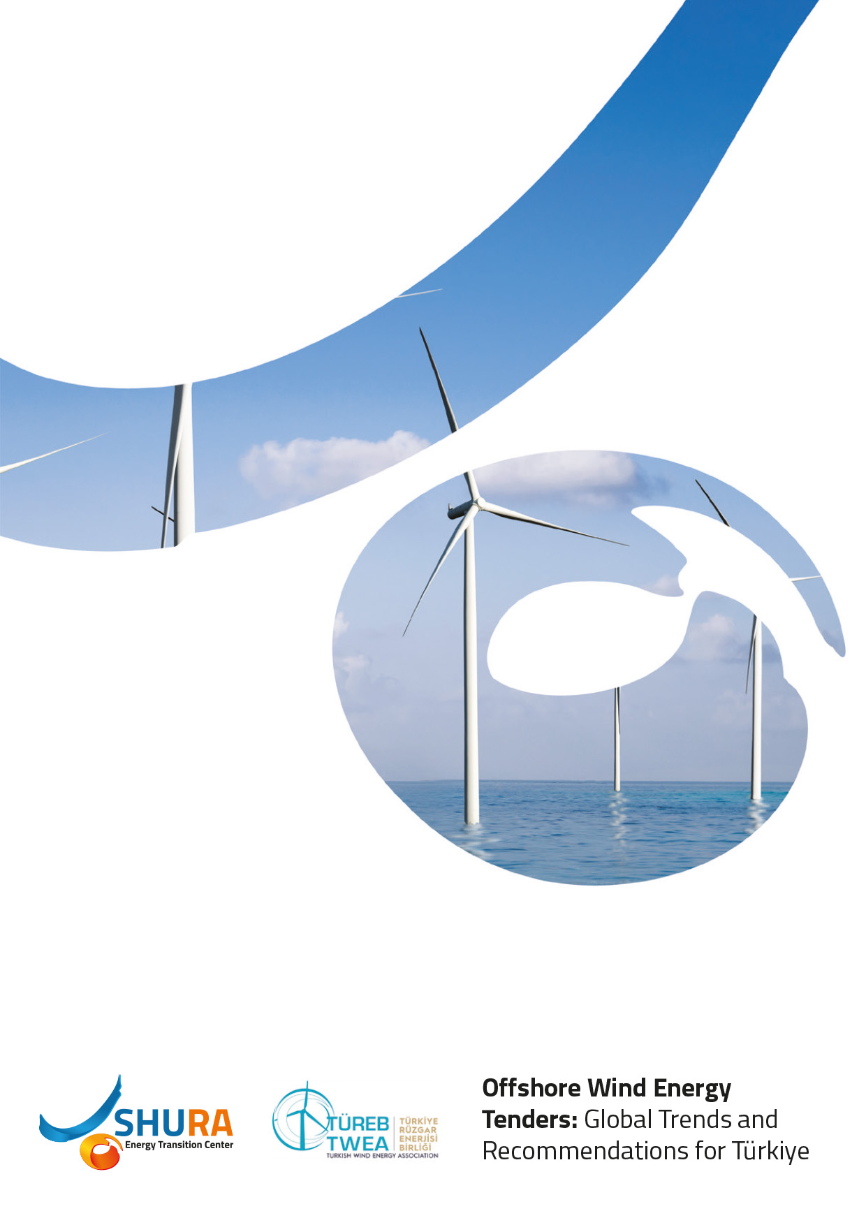 Offshore Wind Energy Tenders: Global Trends and Recommendations for Türkiye