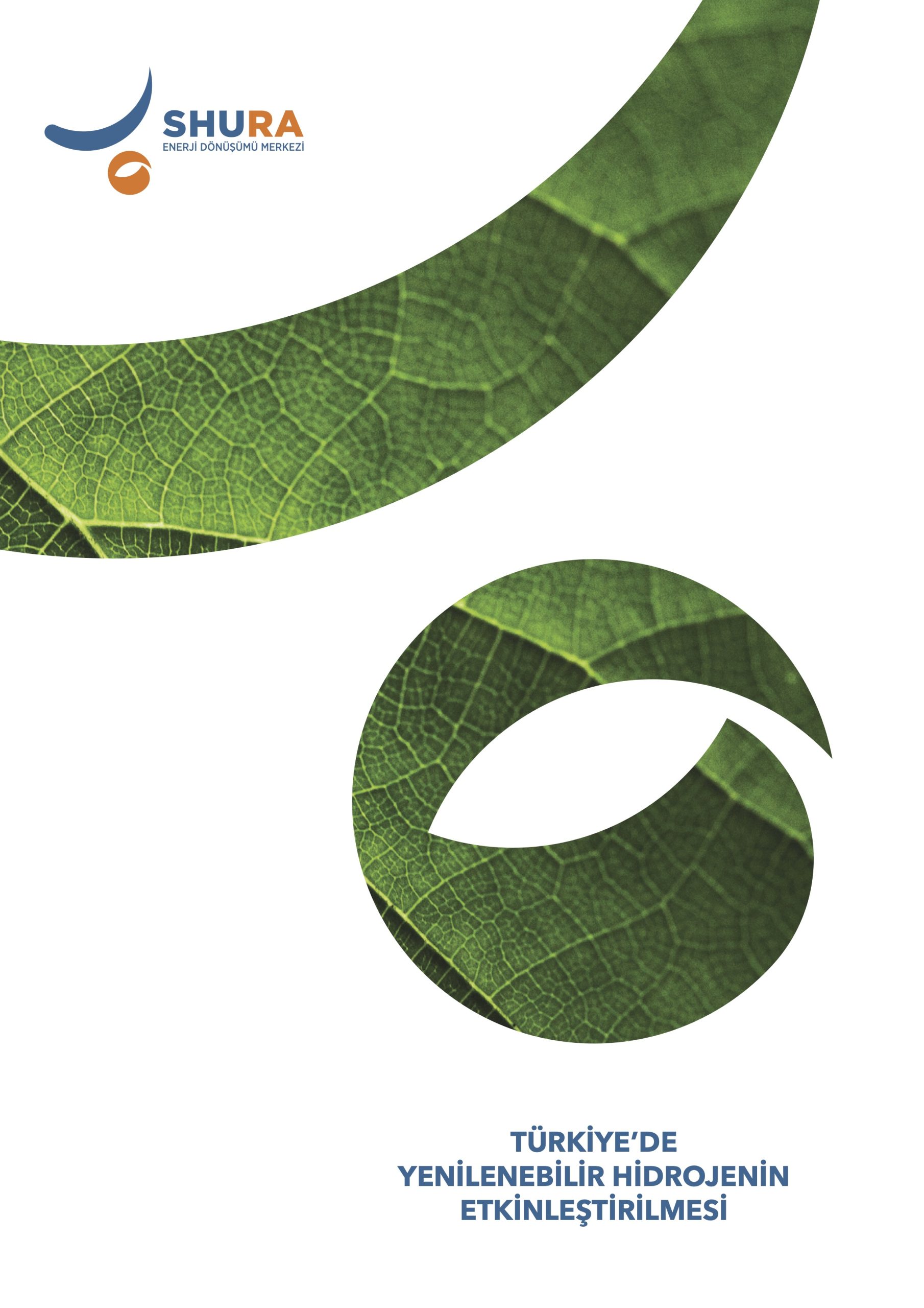 Türkiye’de Yenilenebilir Hidrojenin Etkinleştirilmesi