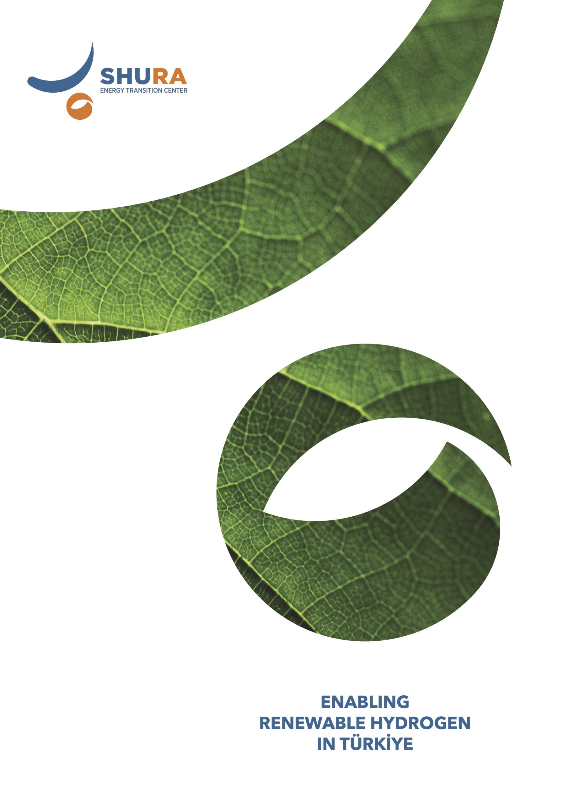 Enabling Renewable Hydrogen in Türkiye